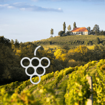 Pot na Mestni Vrh_Foto_Visit Ptuj